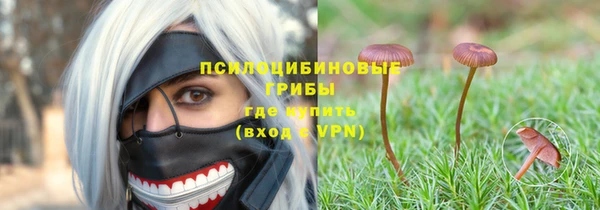 шишки Абаза