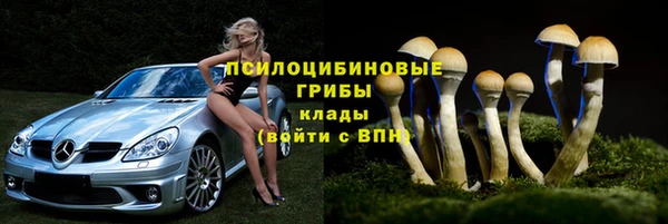 прущий лед Инта