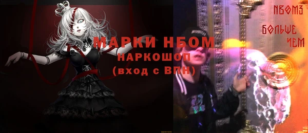 шишки Абаза