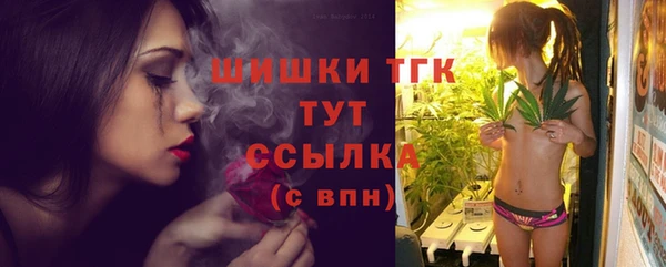 шишки Абаза