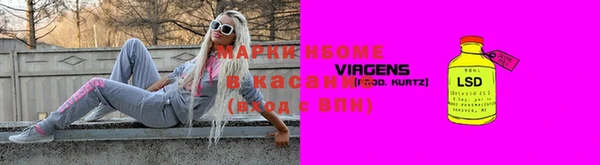 шишки Абаза