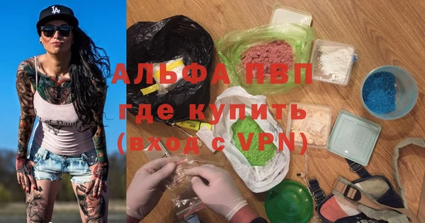 шишки Абаза