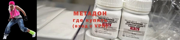 шишки Абаза