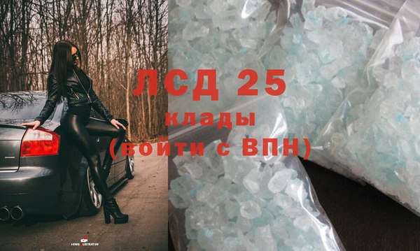 шишки Абаза