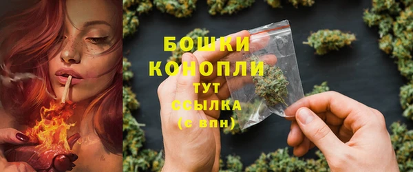 шишки Абаза