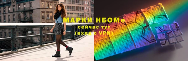 шишки Абаза