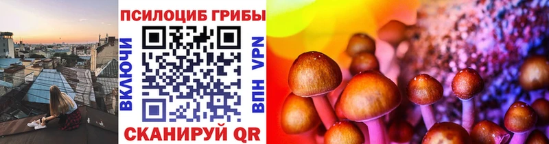 Галлюциногенные грибы Magic Shrooms  ОМГ ОМГ ссылки  Владикавказ 